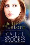 Shelter from the Storm