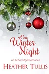 One Winter Night