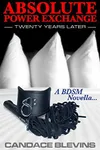 Absolute Power Exchange – Twenty Years Later