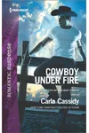 Cowboy Under Fire