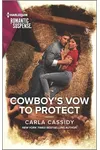 Cowboy's Vow to Protect