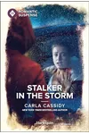 Stalker in the Storm