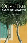 The Olive Tree