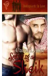 Seducing the Sheik