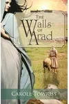 The Walls of Arad