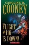 Flight #116 Is Down!