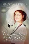 An Agent for Clementine