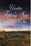 Under a Falling Star