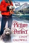 Picture Perfect