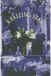 A Falling Star