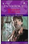 Midnight Burning (As: Caroline Burnes)