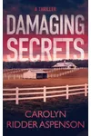 Damaging Secrets