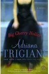 Big Cherry Holler