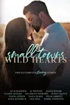 Small Towns, Wild Hearts