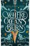 Where Oceans Burn