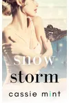 Snow Storm