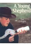 A Young Shepherd