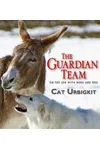 The Guardian Team