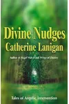 Divine Nudges
