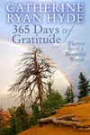 365 Days of Gratitude