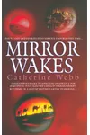 Mirror Wakes