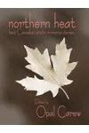 Northern Heat: Best Canadian Erotic Romance Stories