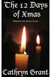 Twelve Days of Xmas