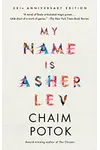 My Name Is Asher Lev