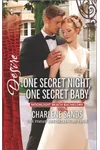One Secret Night, One Secret Baby