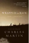 Wrapped in Rain
