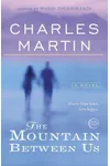 The Mountain Between Us