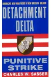 Punitive Strike