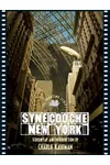 Synecdoche, New York