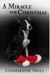 A Miracle for Christmas