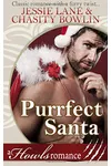 Purrfect Santa