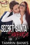 Secret Santa Surprise