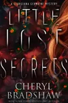 Little Lost Secrets