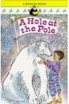 A Hole At The Pole