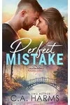 Perfect Mistake