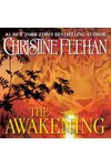 The Awakening