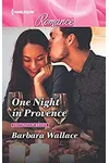 One Night in Provence