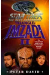 Imzadi II: Triangle
