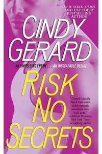 Risk No Secrets