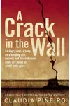 A Crack in the Wall