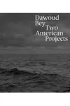 Dawoud Bey: Two American Projects