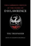 The Trespasser