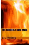 The Formerly Dark Mage