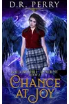 Chance At Joy
