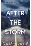 After the Storm