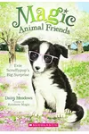 Evie Scruffypup's Surprise